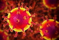 গাজীপুরে ২৪ ঘণ্টায় নতুন করে স্বামী-স্ত্রীসহ ১২ জনের করোনা আক্রা'ন্ত