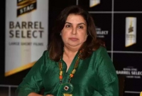 'বিশ্বজুড়ে পার্টি চলছে না, মহামা'রী চলছে', তারকাদের ধ'মকালেন ফারহা খান