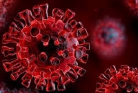 গাজীপুরে নতুন করে ১৬ জন করোনা আক্রা'ন্ত, সর্বাধিক কাপাসিয়ায় 