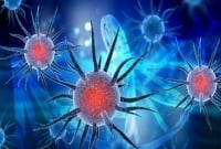 যুক্তরাষ্ট্রে করোনার দ্বিতীয় আঘা'ত হবে আরও ভ'য়াবহ!