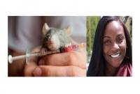 করোনার ভ্যাকসিন প্রয়োগে অবশেষে সফলতার খবর