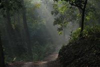 করোনার ভয়ে গ্রামে ঢুকতে বা'ধা, গলায় ফাঁ'স নিয়ে নবদম্পতির আত্মহ'ত্যা