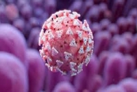 এবার গাজীপুরের পোশাক কারখানায় দুইজন করোনায় আক্রা'ন্ত 