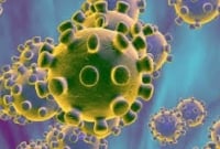  স্বামী করোনায় আক্রা'ন্ত শুনে ফেলে রেখে বাবার বাড়ি চলেন গেলেন স্ত্রী