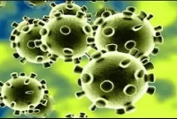 পেকুয়ায় মসজিদের মোয়াজ্জিন ও ছাত্রসহ ১০ জন করোনায় আক্রা'ন্ত