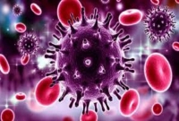  শুধু নারায়ণগঞ্জে একদিনে সর্বোচ্চ ১৫০ জন করোনা আক্রা'ন্তের নতুন রেকর্ড