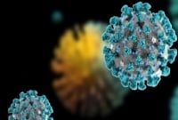 গাজীপুরে জরুরি প্রয়োজন ছাড়া বেরুলেই কঠিন শাস্তি