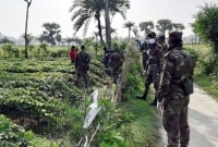 ন্যায্য দামে ক্ষেত থেকে সবজি কিনছে সেনাবাহিনী