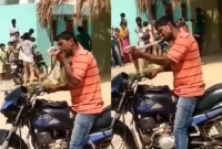 'তোর এত বড় সাহস, আমার পথ আটকাস' বলেই সাপকে কা'মড়ে টুকরো টুকরো করলো ম'দ্যপ যুবক!