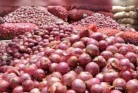 ভারতের পেঁয়াজে আগ্রহ নেই ক্রেতাদের