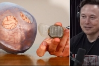 মানুষের কথা বলার প্রয়োজন হবে না, ১০ বছর পর পৃথিবীতে ভাষা বিলুপ্ত হয়ে যাবে!