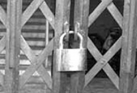 করোনায় মৃ'তের বাড়িতে তালা লাগালো অতি-উৎসাহীরা, ভেতরে কাত'রাচ্ছে শিশুসহ অন্যরা