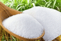 চিনির দাম কমে ১৩ বছরে সর্বনিন্ম