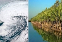 ঘূর্ণিঝড় ‘ইয়াস’, সুন্দরবনে ঝড়-বৃষ্টি শুরু