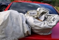  রাস্তায় পড়ে থাকা দুই ব্যাগে মিলল সাড়ে আট কোটি 'টাকা'!