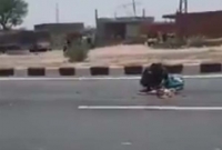 ক্ষুদার জ্বালায় ভারতের রাজস্থানে ম'রা কুকুরের মাংস খাচ্ছে মানুষ, ভাইরাল ভিডিও!