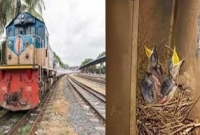 শালিক দম্পতির বাচ্চা বড় না হওয়া পর্যন্ত চালানো হবে না ওই ট্রেনটি