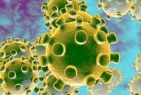 করোনায়ও ঝুঁ'কি নিয়েই নাড়ির টানে ছুটছে নগরবাসী