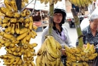 কোভিড-১৯ করোনার মধ্যেই এবার 'ব্যানানা কোভিড' হা'নার আশ'ঙ্কা