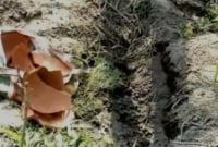 চাপা পড়া অবস্থায় কান্নার শব্দ, কবর থেকে জীবিত নবজাতক শিশুকে উদ্ধার