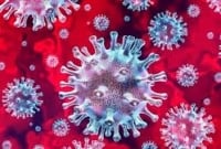 গাজীপুরে গত ২৪ ঘণ্টায় নতুন করে করোনায় আক্রা'ন্ত হয়েছেন ১১৮ জন