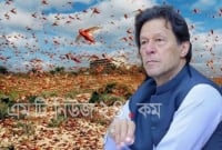 পঙ্গপালের মাধ্যমে জনগণকে অর্থ উপার্জনের পথ দেখালেন ইমরান খান