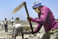 করোনায় চাকরি হারিয়ে দিনমজুরি করতে চাইছে গ্রাজুয়েট পাশ ছেলেরা!