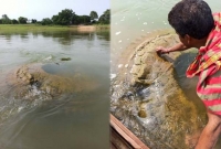 হারিয়ে যাওয়া ইতিহাসের হাতছানি, মহানদীর গর্ভে প্রাচীন মন্দিরের সন্ধান
