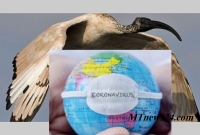 লকডাউনের সময় এক অভিনব দৃশ্য দেখা গেল আকাশে!