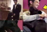 কিছুতেই থামানো যাচ্ছে না সুশান্তের প্রিয় পোষা কুকুরটিকে!