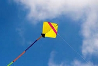 করোনা রোগী হয়েও শ্বশুরবাড়িতে বেড়ালেন, ঘুড়িও উড়িয়ে বন্ধুদের সঙ্গে আড্ডাও দিলেন!