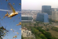 সতর্কবার্তা জা'রি, দরজা-জানালা বন্ধ রেখে ঢাকঢোল পে'টানোর নির্দেশ