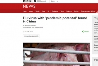 মহামারী হয়ে উঠতে পারে চীনের আরেক নতুন ফ্লু ভাইরাস, জেনে নিন উপসর্গ