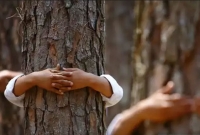 করোনায় মন ভালো রাখতে গাছকে আলিঙ্গন করছে ইসরায়েলিরা