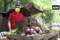 এমএ পাশ করেছেন, বিএড–ও করেছেন, সেই ওয়াজিরই এখন ভ্যান ঠেলে পাড়ায় পাড়ায় সবজি বিক্রি করছেন