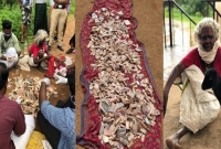  ভিক্ষার লাখ রুপি রোদে দিলেন বৃদ্ধা, তো'লপাড়ে ছুটে এল পুলিশ!