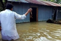 বন্যাদুর্গত এলাকায় প্রতিমন্ত্রী পলক, নামলেন কোমর পানিতে
