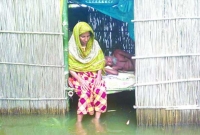 পঙ্গু স্বামীকে নিয়ে বানভাসি স্ত্রীর কষ্ট