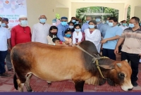 ৪০০ অসহায়, দুস্থ ও এতিম শিশুদের মাঝে গরু, ছাগল ও ম্যাংগো জুস বিতরণ 