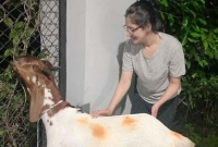 জীবনে প্রথমবার পশু কোরবানি দিলেন বিদ্যা সিনহা মিম