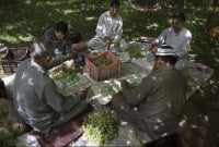 আপেলের পর এবার কাশ্মীরে আঙুরেরও ব্যাপক ফলন