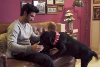 ''কুকুরের বে'ল্ট দিয়েই শ্বা'সরো'ধ করে সুশান্তকে খু'ন করা হয়েছে, গলায় সেই দা'গ স্প'ষ্ট!''