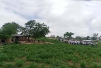 ভারতে খামারে মিললো ১১ পাকিস্তানি হিন্দু শরণার্থীর মৃ'তদেহ