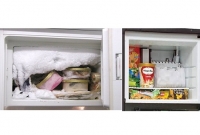  আপনার ফ্রিজে বেশি বরফ জমছে, তাহলে সহজে দূর করুন এই উপায়ে