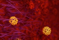 করোনায় মা'রা যাওয়া ৫৪ জন সম্পর্কে যা জানানো হয়েছে