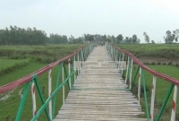 স্বেচ্ছাশ্রমে ছাত্ররা গ্রামবাসীকে কাঠের সেতু বানিয়ে দিলেন