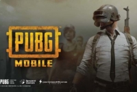 পাবজি'সহ আরও ১১৮টি চিনা অ্যাপ নি'ষি'দ্ধ করলো ভারত