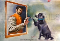 মৃত্যুর ঠিক আগের দিন তিন পোষ্য কুকুরের জন্য টাকা জমা করেন সুশান্ত