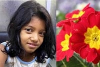  ঢাবিতে সেই ফুল বিক্রেতা পথশিশু জিনিয়াকে যেখান থেকে যেভাবে উ'দ্ধার করা হলো