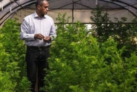 করোনা চিকিৎসায় আশ্চর্য গুণের একটি গাছ নিয়ে বিজ্ঞানীদের চাঞ্চল্য